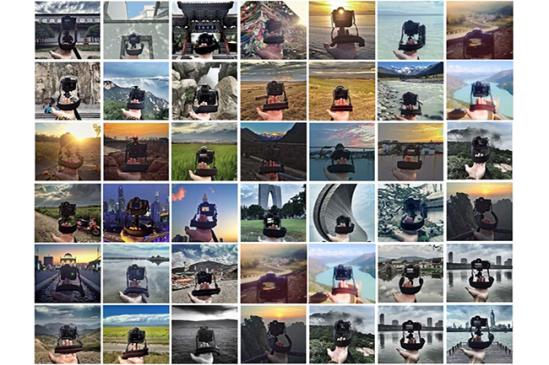 ����117�ڡ���������׷���Ӱ������