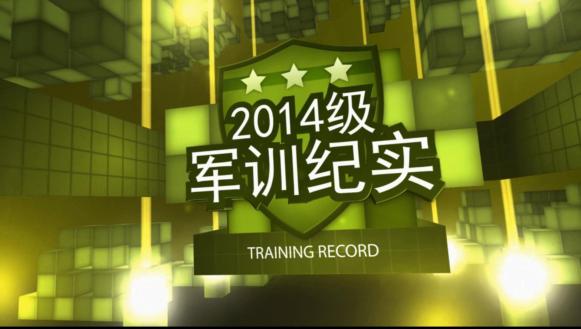 2014����ѵ��ʵ