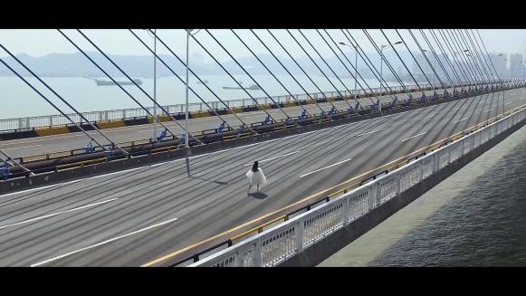 �������麣ѧԺ���岿ѧ��ԭ����Ӱ��ͬ�С�A